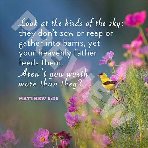 Matthew 6:26 - Innovative Faith Resources